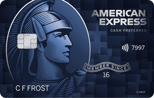 Blue Cash Preferred Card from American Express card art